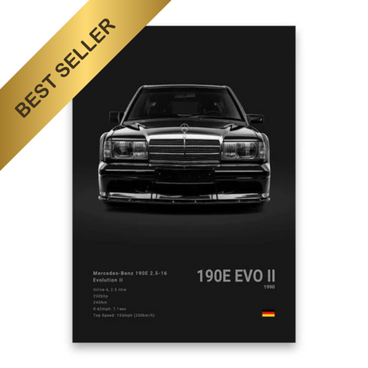 POSTER 190 EVO 2