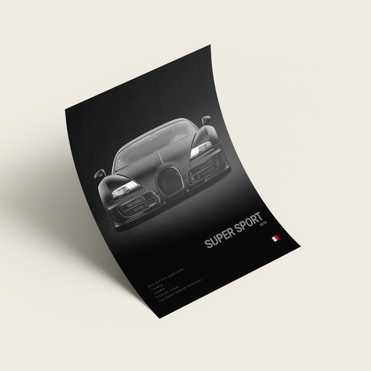 POSTER SUPER SPORT 2010
